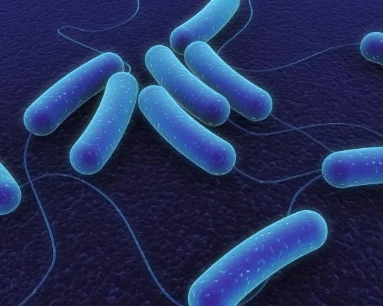 Listeria Prevention: Safety Tips